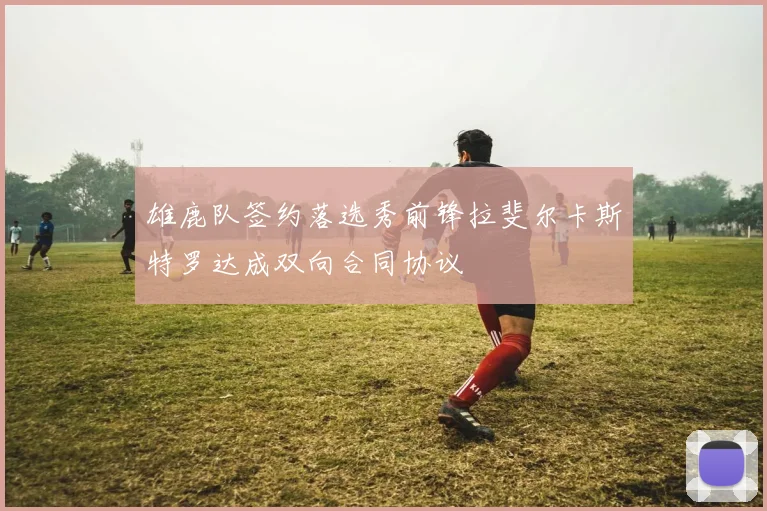 雄鹿队签约落选秀前锋拉斐尔卡斯特罗达成双向合同协议