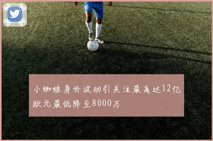 小蜘蛛身价波动引关注最高达12亿欧元最低降至8000万